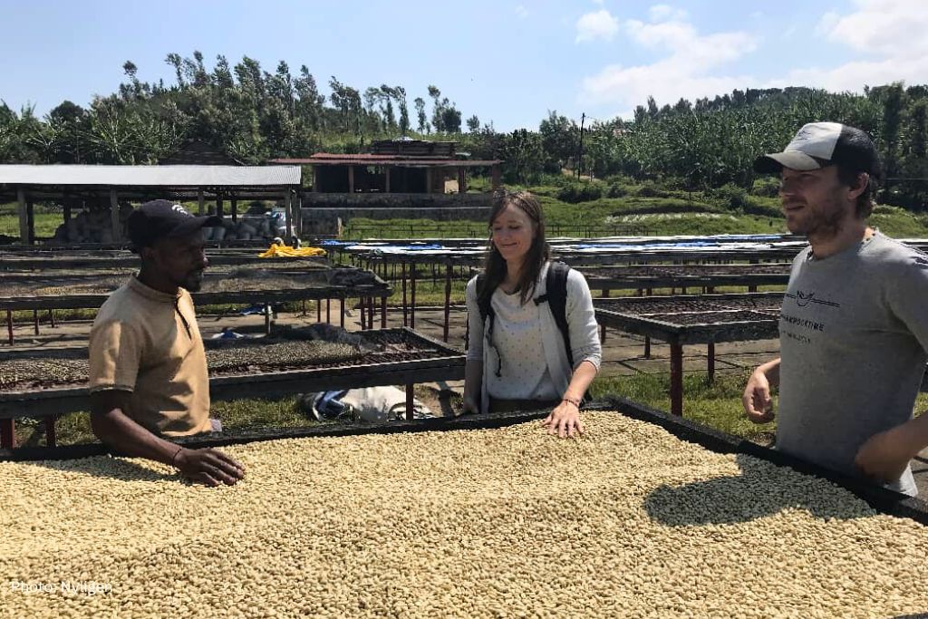 Coffee Plantation Tour In Karongi Near Nyungwe