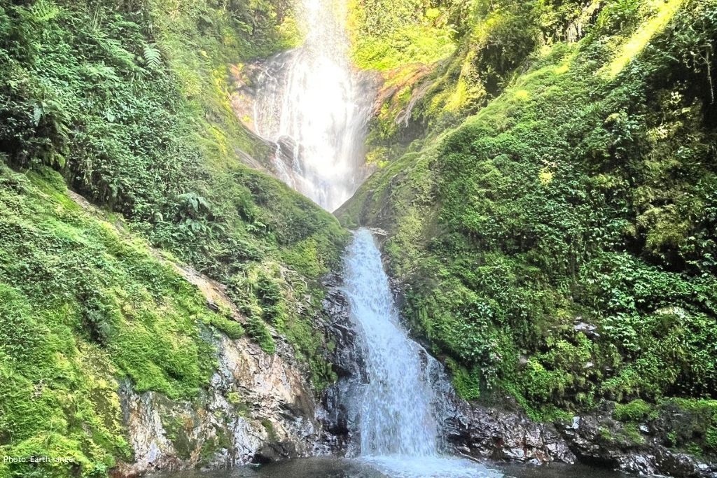 Moderate Hiking Trails In Nyungwe Forest National Park